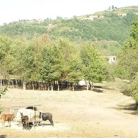 Il Grappolo In Langa Farm stay Monastero Bormida