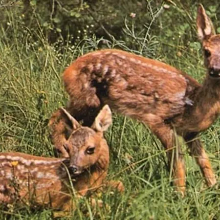 Il Grappolo In Langa Monastero Bormida