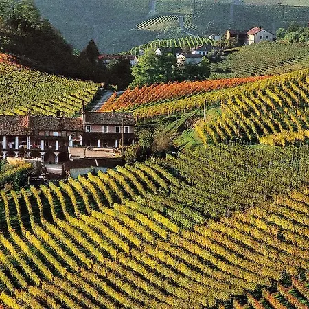 Çiftlik konaklama Il Grappolo In Langa Monastero Bormida