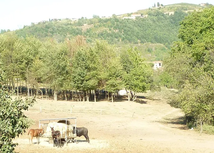 Il Grappolo In Langa Farma Monastero Bormida